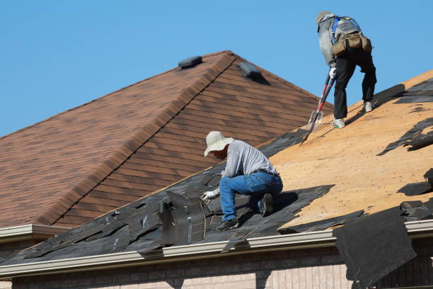 Best Roof Insulation Installation  in Glandorf, OH