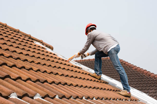 Best Roof Maintenance and Cleaning  in Glandorf, OH